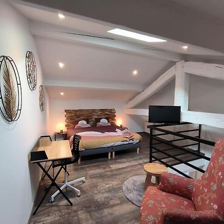 T2 -55M2- Elegant Et Chaleureux Lägenhet Montbrison Exteriör bild